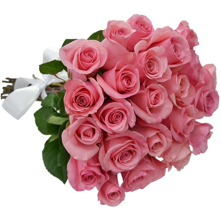 Buquê de 24 Rosas Cor de Rosa - Giuliana Flores - ON Stores, Shopping online