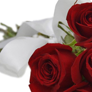 Buquê de 12 Rosas Vermelhas - Giuliana Flores - ON Stores, Shopping online