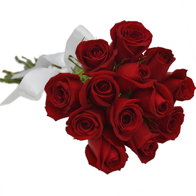 Buquê de 12 Rosas Vermelhas - Giuliana Flores - ON Stores, Shopping online