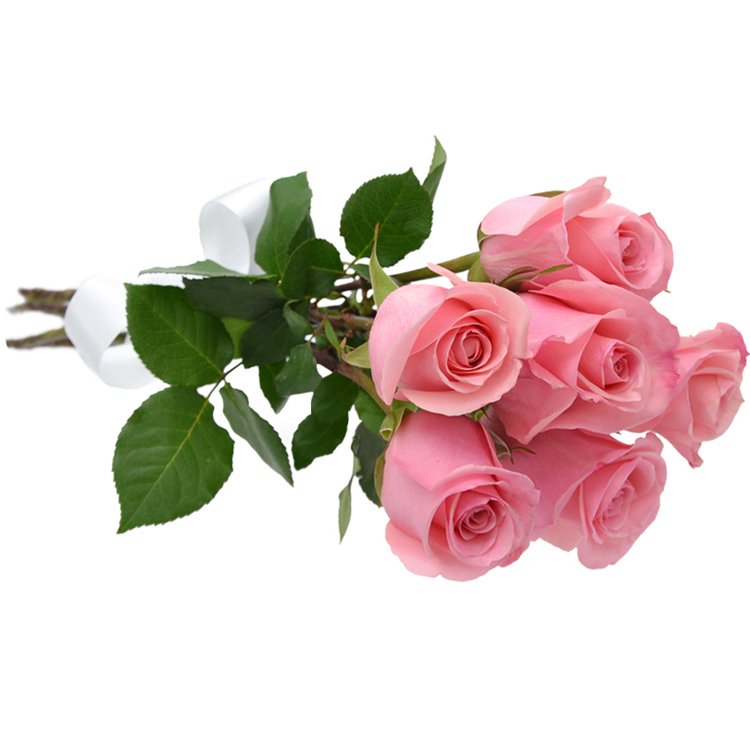 Buquê de 6 Rosas Cor de Rosa - Giuliana Flores - ON Stores, Shopping online